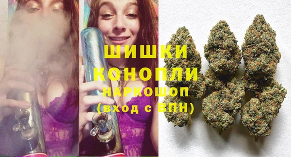 соль ск Няндома