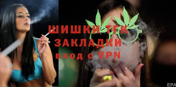 соль ск Няндома