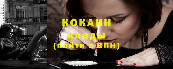 соль ск Няндома