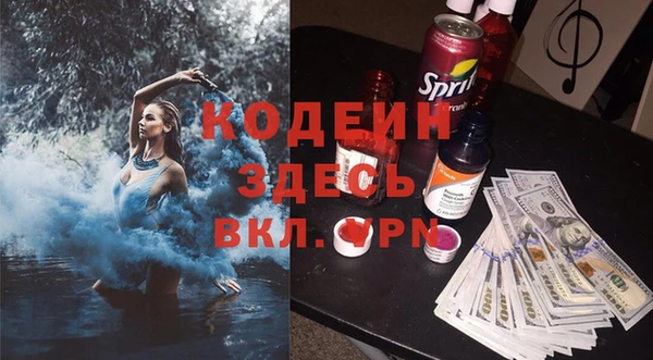 соль ск Няндома