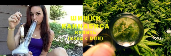 соль ск Няндома