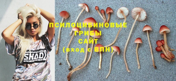 прущие крисы Нязепетровск