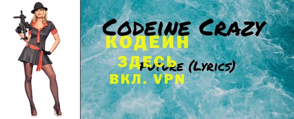 соль ск Няндома