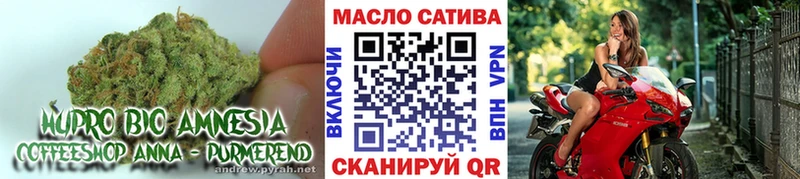 Дистиллят ТГК вейп  блэк спрут маркетплейс  Багратионовск 